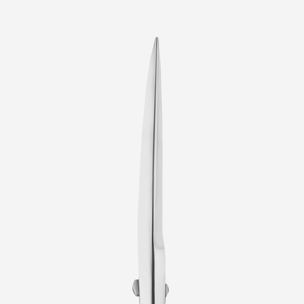 Tesoura Profissional para Modelagem de Sobrancelhas EXPERT 30/1