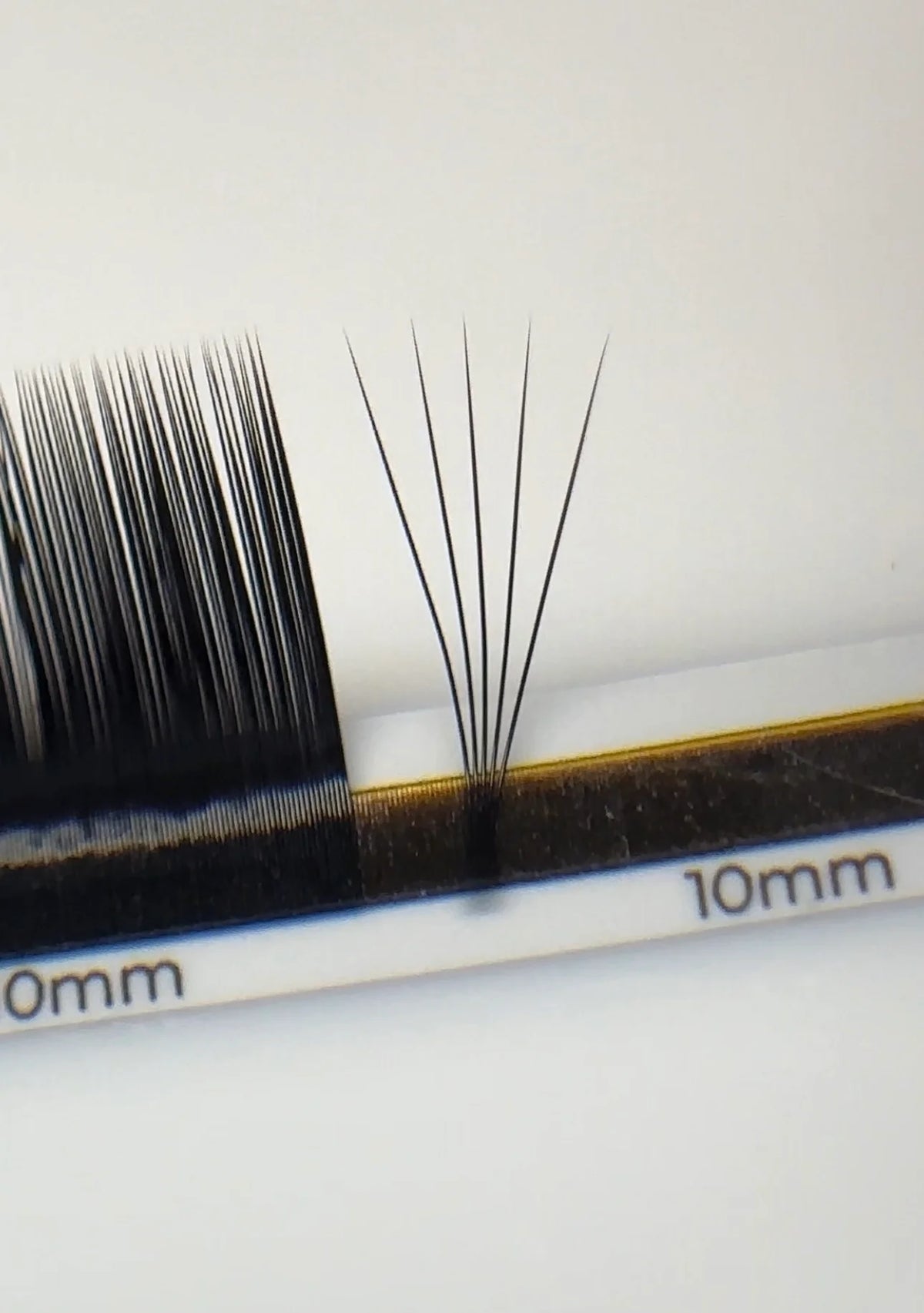 ESSENTIALS 16 lines Black Lashes