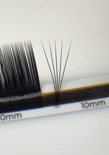 ESSENTIALS 16 lines Black Lashes