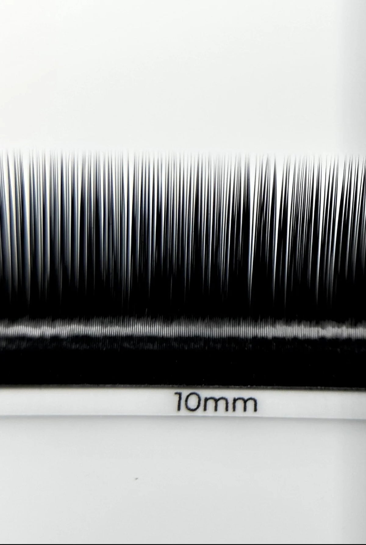 ESSENTIALS 16 lines Black Lashes