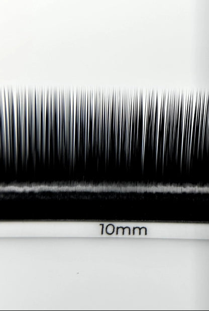 ESSENTIALS 16 lines Black Lashes