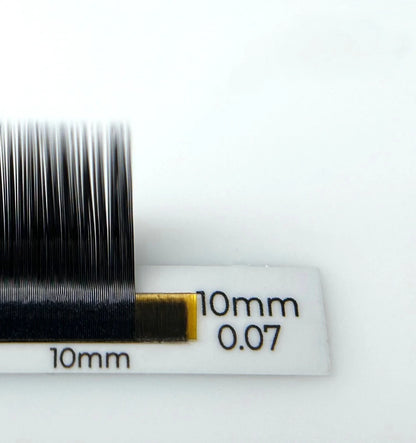 ESSENTIALS 16 lines Black Lashes