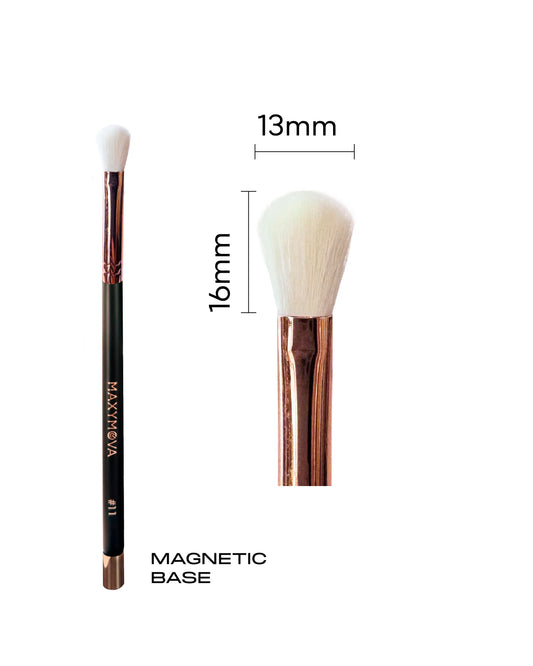 MAGNETIC BRUSH N. 11