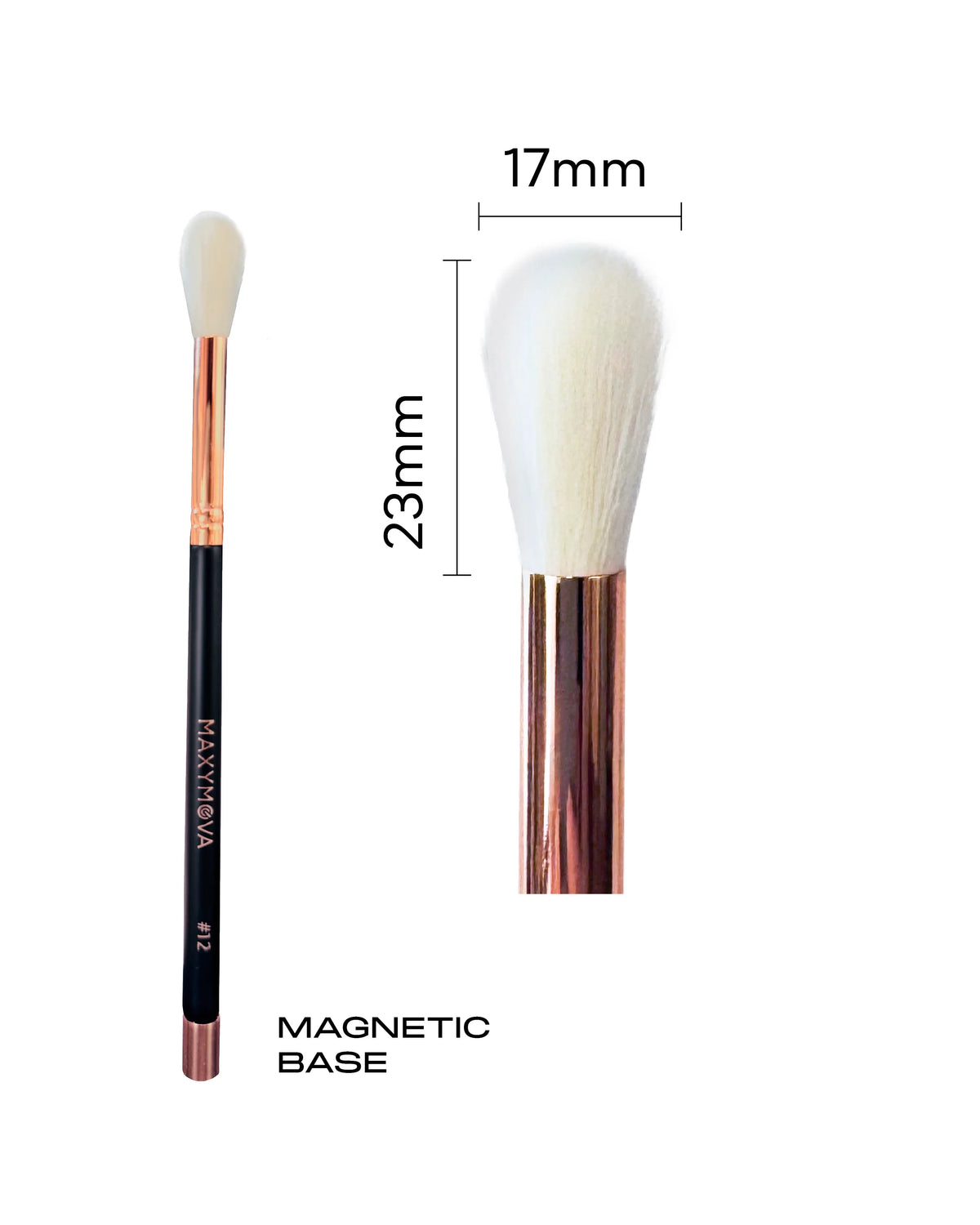 MAGNETIC BRUSH N. 12