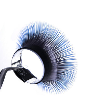 PRIZMATIC 2T Green, Blue &amp; Violet — SCULPTOR
