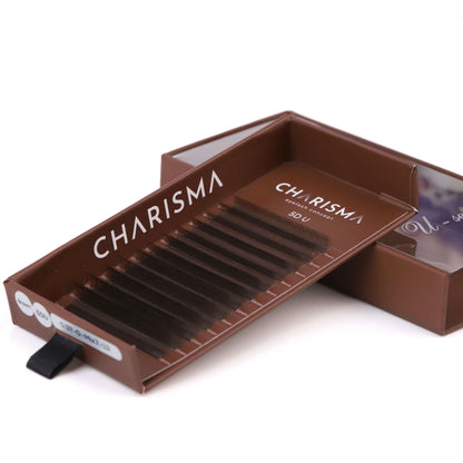 PESTANAS BROWN - SPEEDY Lashes U - shape Premade Fans